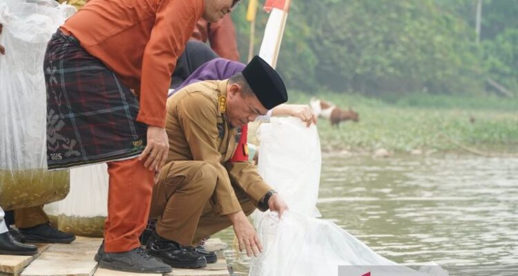 Gubernur Jambi Al Haris (duduk) saat melepas ribuan benih ikan jenis nilem di Danau Sibuk Kabupaten Bungo, Senin (19/10/2026). Sumber foto: Antara