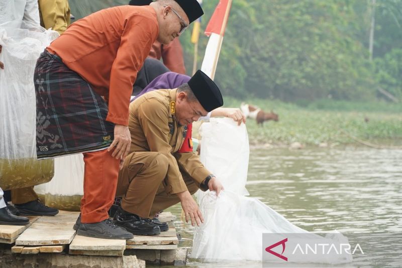 Gubernur Jambi Al Haris (duduk) saat melepas ribuan benih ikan jenis nilem di Danau Sibuk Kabupaten Bungo, Senin (19/10/2026). Sumber foto: Antara Gubernur Jambi Al Haris (duduk) saat melepas ribuan benih ikan jenis nilem di Danau Sibuk Kabupaten Bungo, Senin (19/10/2026). Sumber foto: Antara