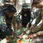 Prajurit TNI dan Angkatan Peratahanan Australia latihan bertahan hidup di alam liar, di Puslatpurmar 5 Baluran Situbondo, Jawa Timur. Jumat (16/10/2026). Sumber foto: Antara