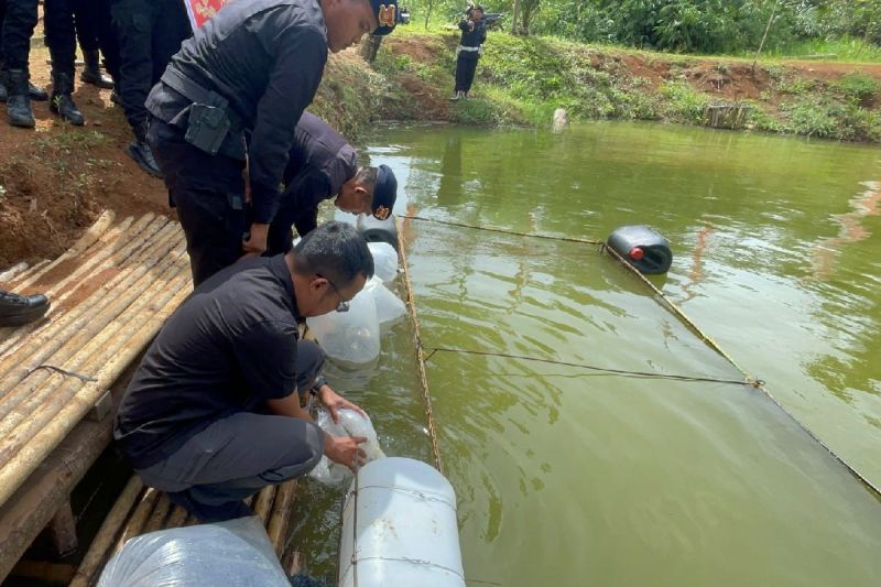 Personel Batalyon C Pelopor Satuan Brimob Kepolisian Daerah Sumatera Utara di lingkungan mako, Kabupaten Tapanuli Selatan, Sabtu (24/10/2026). Sumber foto: Antara