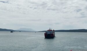 Arsip foto - Kapal feri menyeberangi perairan Selat Bali, Minggu (2/8/2026). Sumber foto: Antara Arsip foto - Kapal feri menyeberangi perairan Selat Bali, Minggu (2/8/2026). Sumber foto: Antara