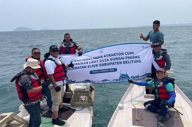 PT Timah menenggelamkan sebanyak 30 unit alat atraktor cumi di wilayah perairan Sungai Padang, Sijuk dengan harapan meningkatkan populasi cumi dan tangkapan nelayan cumi, di Tanjungpandan, Sabtu (3/10/2026). Sumber foto: Antara