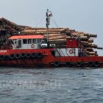 Kapal Tugboat (TB) Marina 2238 yang menarik Pontoon (TK) Marine Power 3039 bermuatan ribuan kubik kayu log di perairan utara Pulau Buru ditangkap oleh KRI Posepa-870. Sumber foto: Dispenal