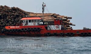 Kapal Tugboat (TB) Marina 2238 yang menarik Pontoon (TK) Marine Power 3039 bermuatan ribuan kubik kayu log di perairan utara Pulau Buru ditangkap oleh KRI Posepa-870. Sumber foto: Dispenal