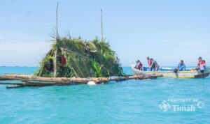 Ilustrasi, PT Timah (Persero) Tbk melakukan pelestarian ekosistem pesisir secara berkelanjutan di Provinsi Kepulauan Bangka Belitung. Sumber foto: Antara Ilustrasi, PT Timah (Persero) Tbk melakukan pelestarian ekosistem pesisir secara berkelanjutan di Provinsi Kepulauan Bangka Belitung. Sumber foto: Antara